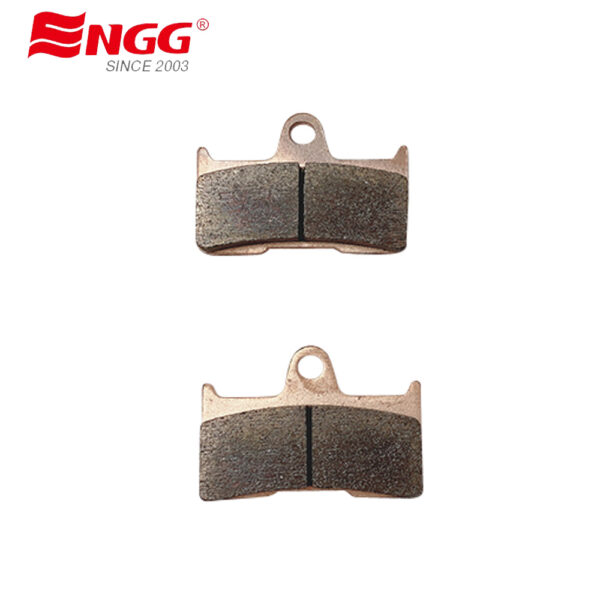 REAR BRAKE PADS FOR GOES F 520 F 2007-2013